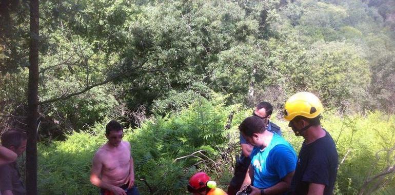 Un guarda herido tras el ataque de un jabalí en Cangas de Onís 