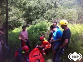 Un guarda herido tras el ataque de un jabalí en Cangas de Onís 