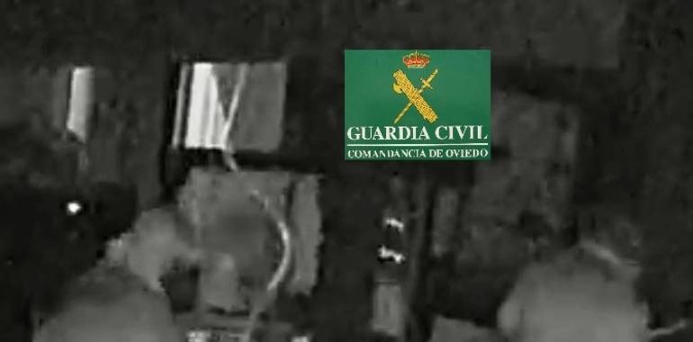 La Guardia Civil detiene a 9 personas por robos dentro de la Operación Abeyones