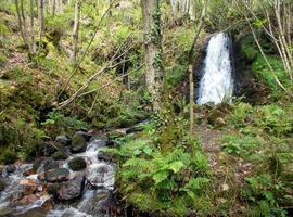 Asturies ConBici se va de excursión a las cascadas del río Nonaya