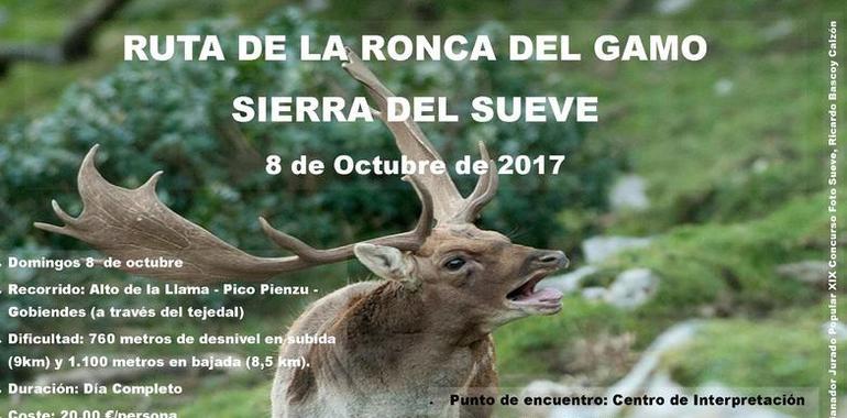 Actividades de las XX Jornadas del Sueve desde el 3 de octubre