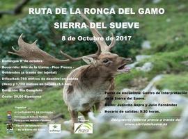 Actividades de las XX Jornadas del Sueve desde el 3 de octubre