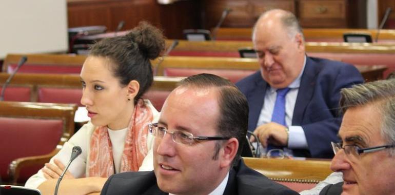 Senadores piden al Gobierno protección acústica en carreteras de Asturias