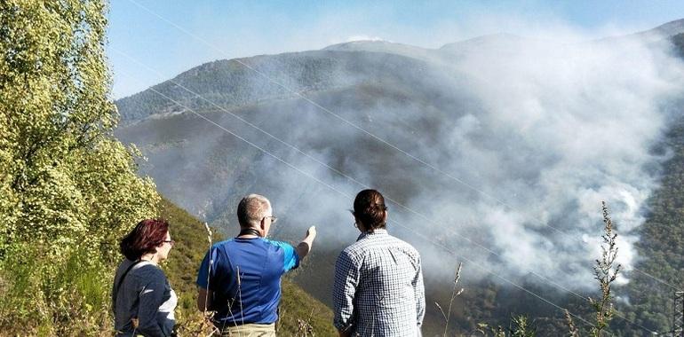 Podemos: Frenar los incendios requiere invertir para cuidar el monte