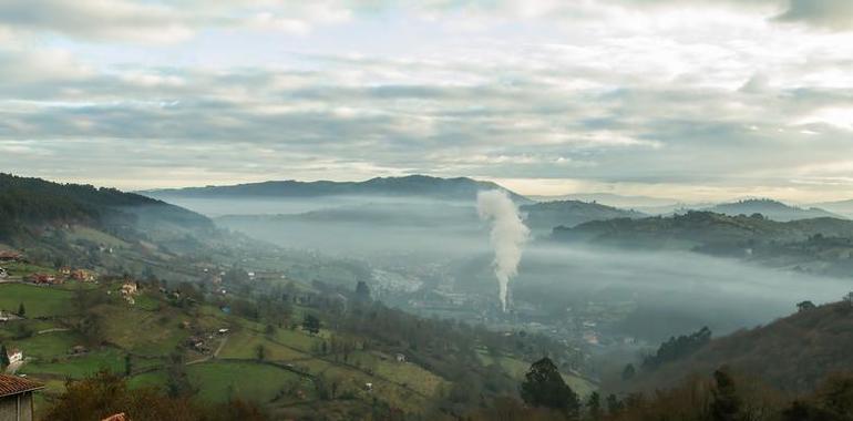 Ecologistas denuncian alarma por contaminación de benceno en Oviedo