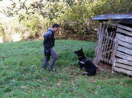 La Guardia Civil de Oviedo intensifica la búsqueda de veneno en el medio natural