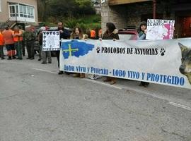 Protesta en Illas contra las matanzas de lobos en Asturias