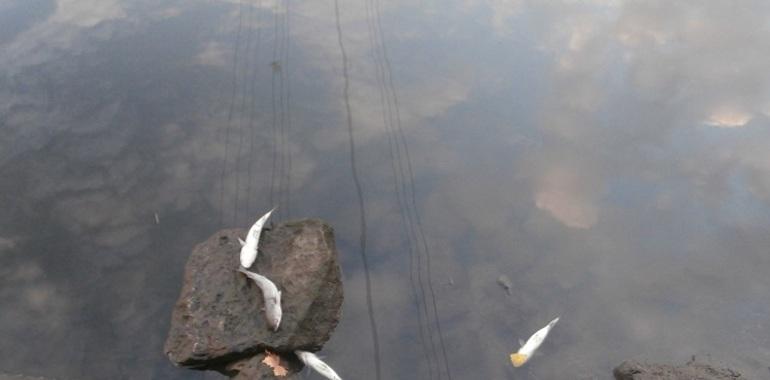 Un nuevo vertido en la ría de Avilés