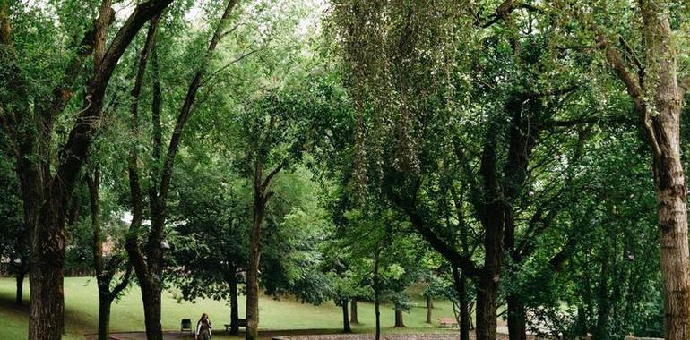 Los dueños de perros de Avilés no saben usar los parques