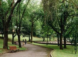 Los dueños de perros de Avilés no saben usar los parques