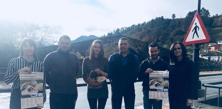 El puente de las setas en el Oriente de Asturias