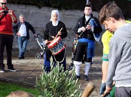 "Oviedo vive sus plazas" planta el olivo de Olivares