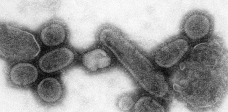 La incidencia de la gripe en Asturias desciende por tercera semana consecutiva