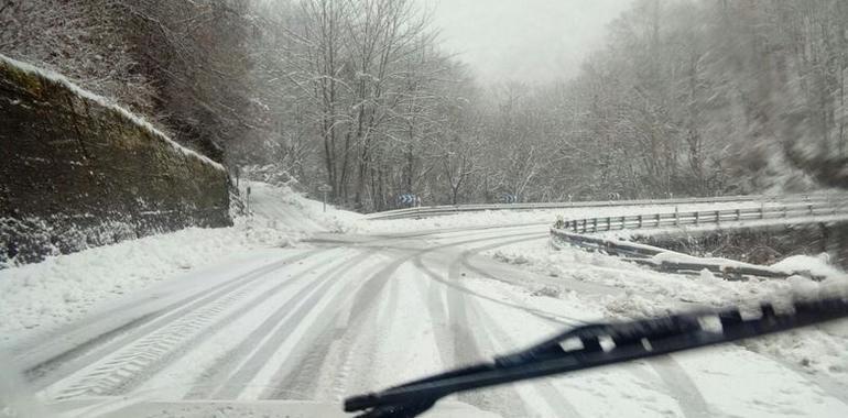 Activados todos los protocolos ante las nevadas en Asturias