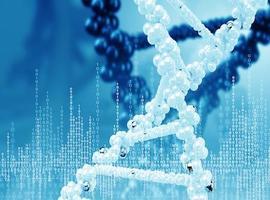 24Genetics y Diseasemaps se unen para investigar enfermedades raras