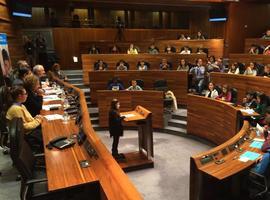 75 escolares de Gijón y Mieres participan en el pleno infantil “Diputados por un Día”