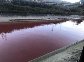 Ecologistas denuncian que la ría de Aboño está teñida de rojo