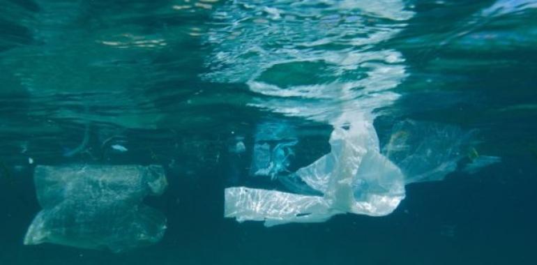 Greenpeace: El R.D. para reducir el consumo de bolsas de plástico no es la solución