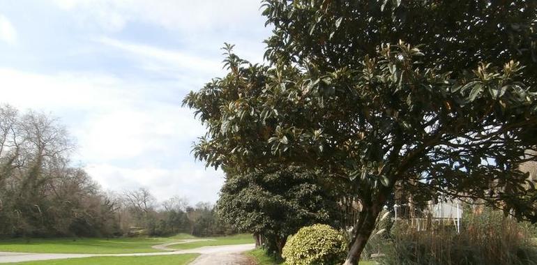 Ciudadanos pide al Principado apoyo a la actividad científica en el Jardín Botánico