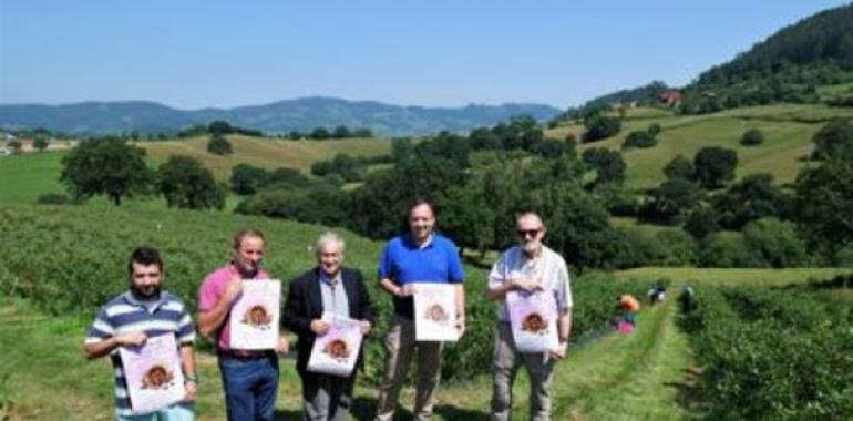 Villaviciosa: Festival del Arándano y Frutos Rojos de Asturias “Berry Festival”