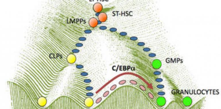 Jornada sobre la Biología Molecular del cáncer