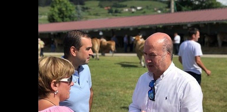 El PP censura la "ineptitud" gubernamental ante el cierre de la costera del bonito