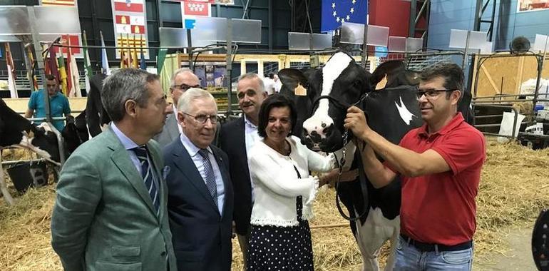 AGROPEC: Asturias lidera por noveno mes consecutivo el precio de la leche