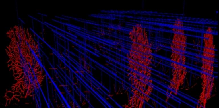 Un cerebelo artificial que también aprende a parpadear