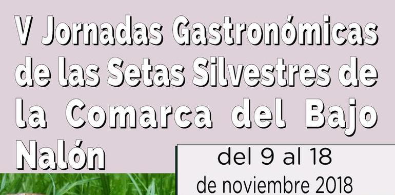 Jornadas de las Setas Silvestres desde hoy en el Bajo Nalón