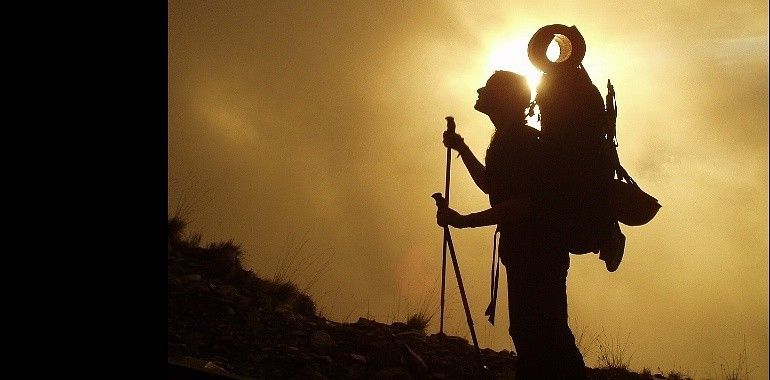 El Camino Portugués, una buena opción para probar el Camino de Santiago