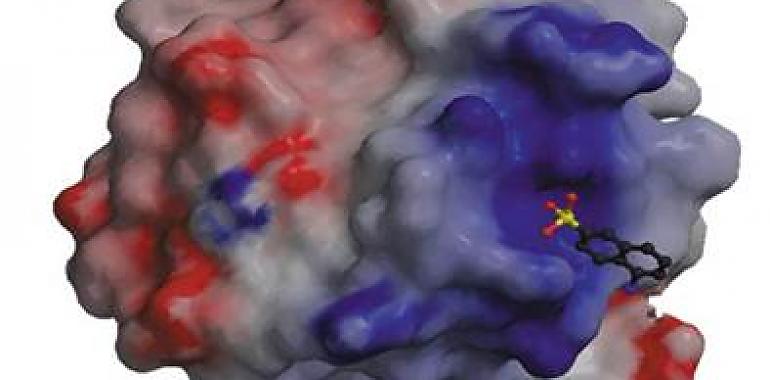 El CSIC consigue un medicamento huérfano para la Telangiectasia Hemorrágica Hereditaria