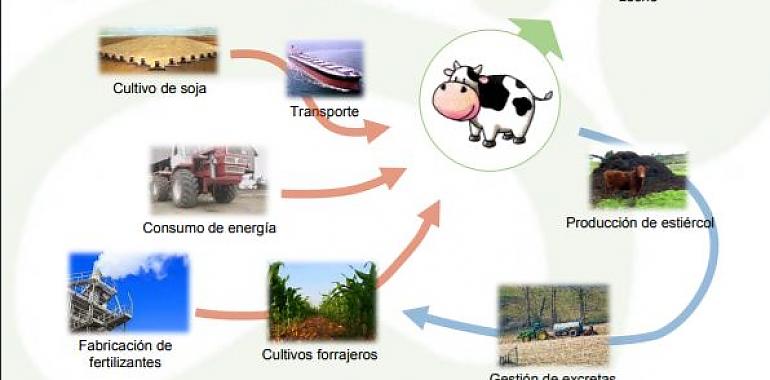 Una jornada analiza en Colunga la huella de carbono en las explotaciones lecheras 