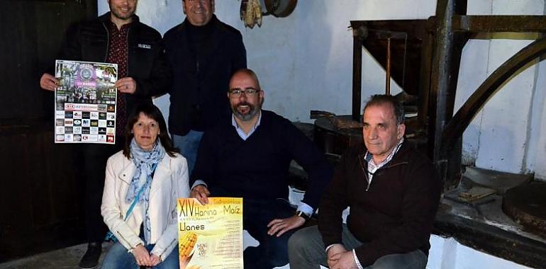 Vibaño presenta las Jornadas Gastronómicas de la Harina y el Maíz de Llanes