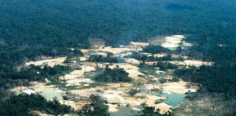 Miles de buscadores de oro invaden el territorio yanomami