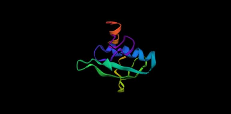 Genes ocultos en el ADN ‘basura’ agrandan el mapa de la vida