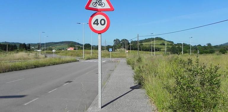 Ecologistas de Asturias alegan contra una nueva planta de biomasa en La Zalia