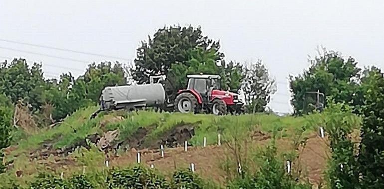 Asturias cierra la ría del Eo a la extracción de moluscos por el vertido de purines