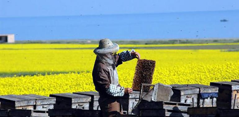 Agricultura convoca ayudas a programas de formación dirigidos a los profesionales del medio rural