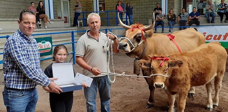 Esplendor de la roxa asturiana en el cartamen de Cangas del Narcea