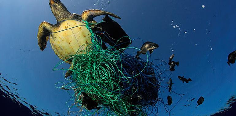 Cada año se abandonan 640.000 toneladas de redes de pesca en los océanos