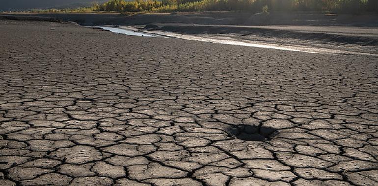 Casi una cuarta parte de España se puede considerar desierto según Greenpeace