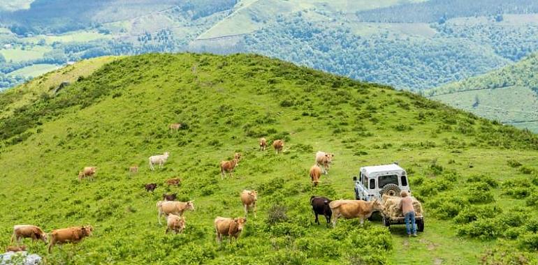 El sector del vacuno de carne refuerza su compromiso medioambiental