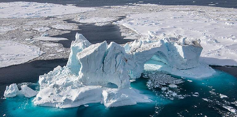 Greenpeace exige una respuesta política global frente al colapso de los océanos