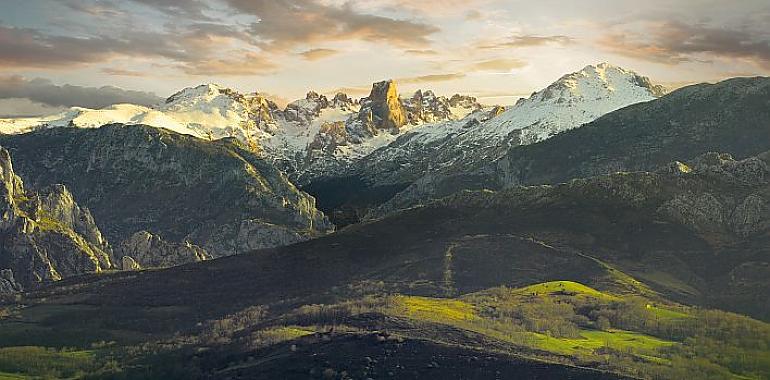 La osezna liberada en noviembre en los Picos de Europa evoluciona con normalidad