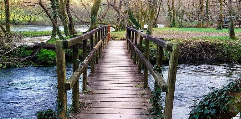 Galicia abre la temporada de salmón y reo el 1 de mayo