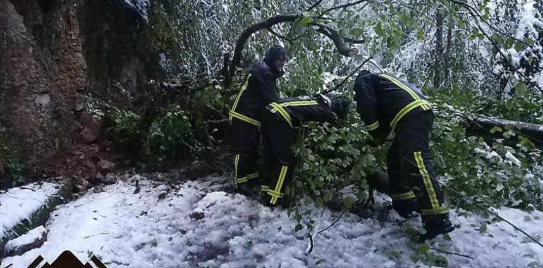 La nieve impone cadenas en 8 puertos de Asturias y cierra Pajares a pesados