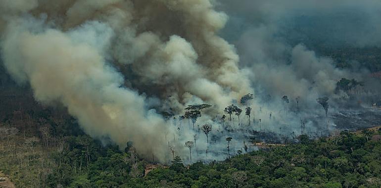 El confinamiento no paraliza el movimiento climático en el Día de la Tierra