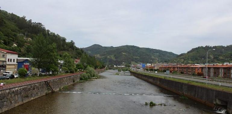 Mieres colocará 150 trampas contra la avispa asiática por el paseo fluvial y zonas verdes 