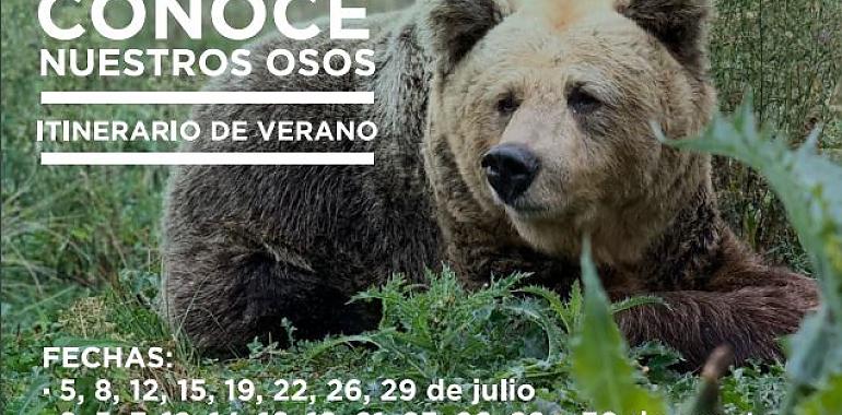 Los itinerarios de verano Conoce Nuestros Osos comienzan esta semana