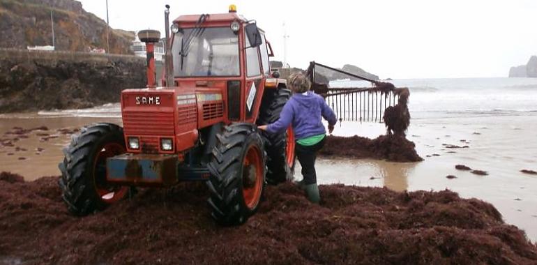 Piden al Gobierno de Asturias que paralice el arranque del ocle